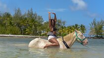  Swimming with Horses at the Beach from Punta Cana Free transportation