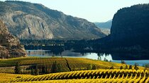 Okanagan Falls Wine Experience from Vernon - 4 Wineries