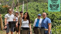 Full-Day Private Guatape Coffee Villa Tour from Medellin