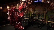 Flamenco Show at Torres Bermejas in Madrid