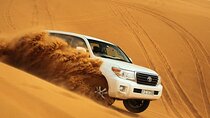 Full Day Dubai Desert Safari