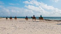 Private Horseback Riding On The Beach