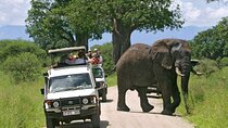 4-Days Private Budget Safari: Tarangire, Serengeti & Ngorongoro 