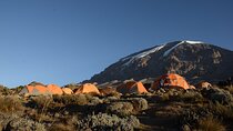 7-Day Kilimanjaro Hiking Tour via Machame Route