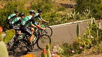 Road Cycling Tenerife - Vilaflor Route