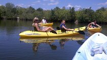 1-Hour Tandem Kayak Rental with Manatee & Dolphin sightings