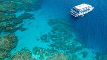 2-Day Snorkelling Experience - Great Barrier Reef Twin Share