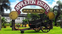 Full Day YS Falls and Appleton Estate Tour from Montego Bay