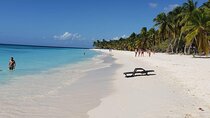Full-Day Cruise to Saona Island - Natural Pool and Lunch