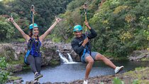Umauma Falls 4-Line Zipline Experience