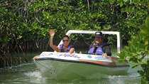 Mangrove and Lagoon Speed Boat Tour 