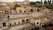 Herculaneum Guided Tour with Pick Up in Naples