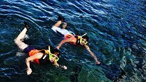 Dumaguete Apo Island Snorkeling Tour