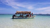 4-Hour Glass Bottom Boat Experience in Punta Cana