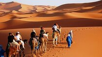 2 Days Private Journey in Fez Desert with Camel Trek 