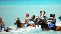 Horseback Riding, Blue Hole, Dunn's River, River Rafting and Tubing Private Tour