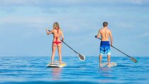 Ocean Sup and kayak tours