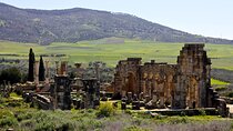 Small-Group Tour to Volubilis and Meknes from Fez