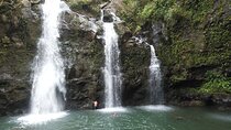 PRIVATE Road to Hana Tour