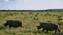 Murchison Falls and Queen Elizabeth National Park 5-Day Tour