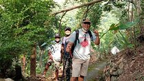 Private Prahu Hill Hiking and Javanese Cuisine Experience