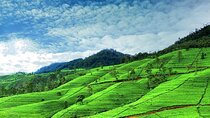 Nuwara Eliya Day Tours with Sri Lanka Friendly Driver 