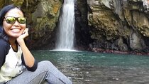 Sambangan Waterfall Tour with Dolphin Watching and Snorkeling in Northern Bali