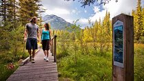 Banff LOST TOWNS and Untold Stories! 2hr Walk + Transportation