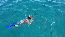 Cabo San Lucas Snorkel Tour All Included