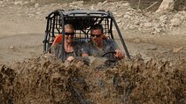 Side: Guided Buggy UTV Safari Tour