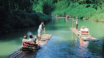 Martha Brae River Bamboo Rafting from Falmouth/Grand Palladium