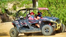 Beach and Desert UTV with Horseback Riding Experience