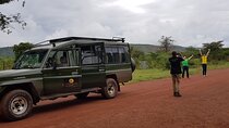 2-Day Akagera National Park Game Drive, Ihema boat trip with a Choice 4x4