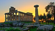 Paestum and Dairy day tour from Naples
