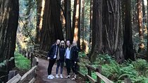 Muir Woods and Golden Gate Bridge 3-hour Private Group Tour