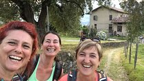Bellagio Hiking Experience: Nature, Villages & Lake Views