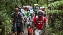 7 Day Rongai Kilimanjaro Summit