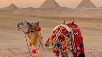 Cairo: Pyramids, Memphis, Sakkara, Dahshur Luxury adventure!