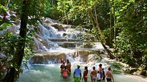 Private Dunn's River Falls Adventure from Montego Bay