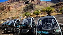 4 Hours Eco Safari Tour with Electric Car in Tenerife