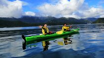 Full day Guided Sea Kayak Tour from Picton