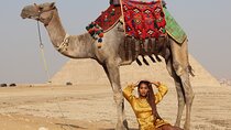 Full day tour Giza pyramids , Memphis, Saqqara