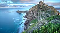 Best Cape Peninsula Day Tour