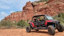Polaris RZR 4 seater Half-day Rental