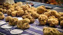 Alba Truffle Fair: Guided Tour and Skip-the-Line Access