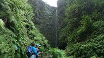 Caldeirão Verde Levada (PR 9) - Guided Madeira Levada Walk