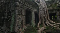 Angkor Highlights Full-Day Tour by TukTuk