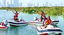 Small-Group Self-Drive Speedboat Tour in Yas Island Mangroves