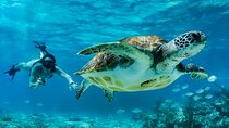 Private Tulum Mayan Ruins & Swimming with Turtles Experience