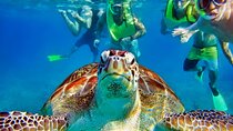 Tulum Mayan Ruins and Snorkeling with Turtles at Akumal